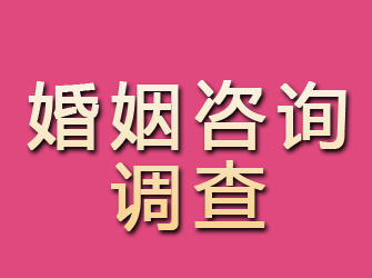 吉安婚姻咨询调查